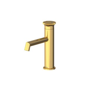 Изображение товара Смеситель Teska Arte Leo S для раковины, золото, E 5517