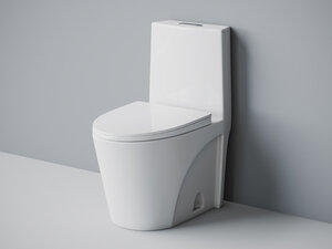 Изображение товара Напольный унитаз моноблок Laguraty 2100A (2100AW)