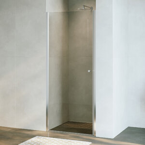 Изображение товара Душевая дверь в нишу RGW Dolphin TN-03 54930308-11, 80 см, стекло прозрачное, профиль хром