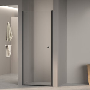 Изображение товара Душевая дверь в нишу RGW Dolphin TN-03 54930308-14, 80 см, стекло прозрачное, профиль черный