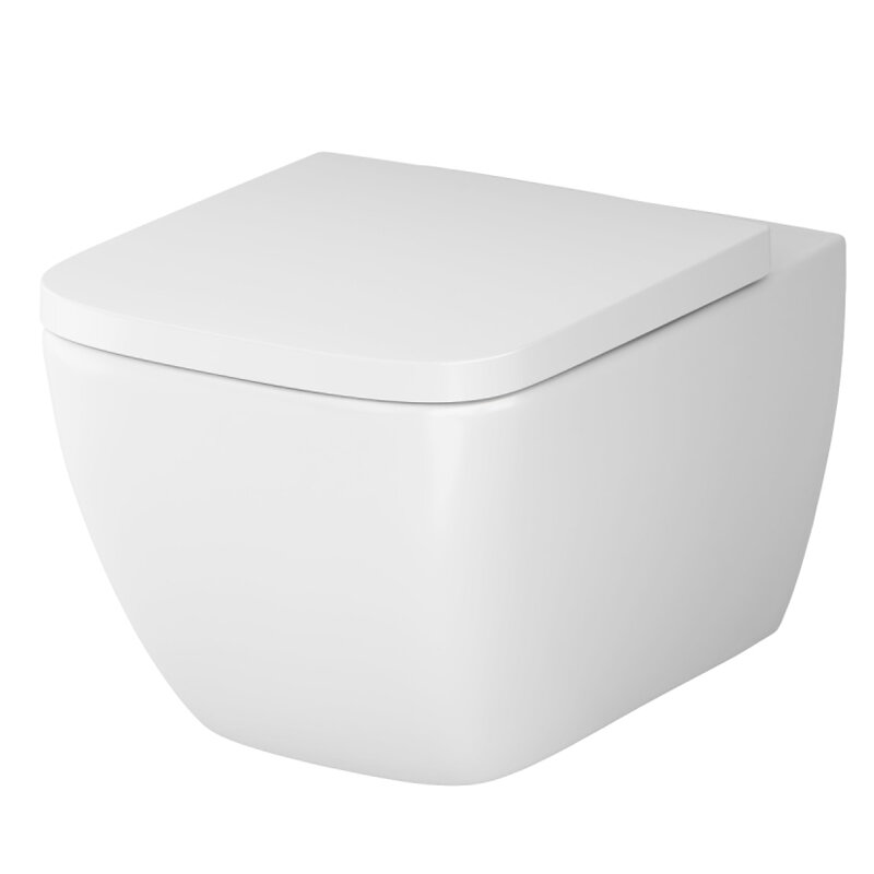 Изображение товара Подвесной унитаз безободковый AM.PM Gem с микролифтом белый C901701SC