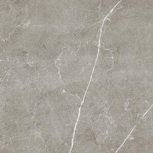 Изображение товара Керамогранит Laparet Scandy SG645220R 60х60 см матовый серый ректификованный