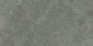 Изображение товара Керамогранит Laparet Pluto Grigio, SG50005320R, 59.5 х 119.1 см, серый матовый