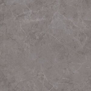 Изображение товара Керамогранит Kerama Marazzi Гран Пале для стен 50.2х50.2 см серый матовый