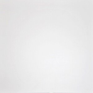 Изображение товара Керамогранит Grasaro Domino G-100/MR 60x60 см белый матовый