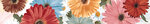 Бордюр Gres de Valls Sunshine Multicolor X0326, 8 x 50 см, красный, розовый - фото 1