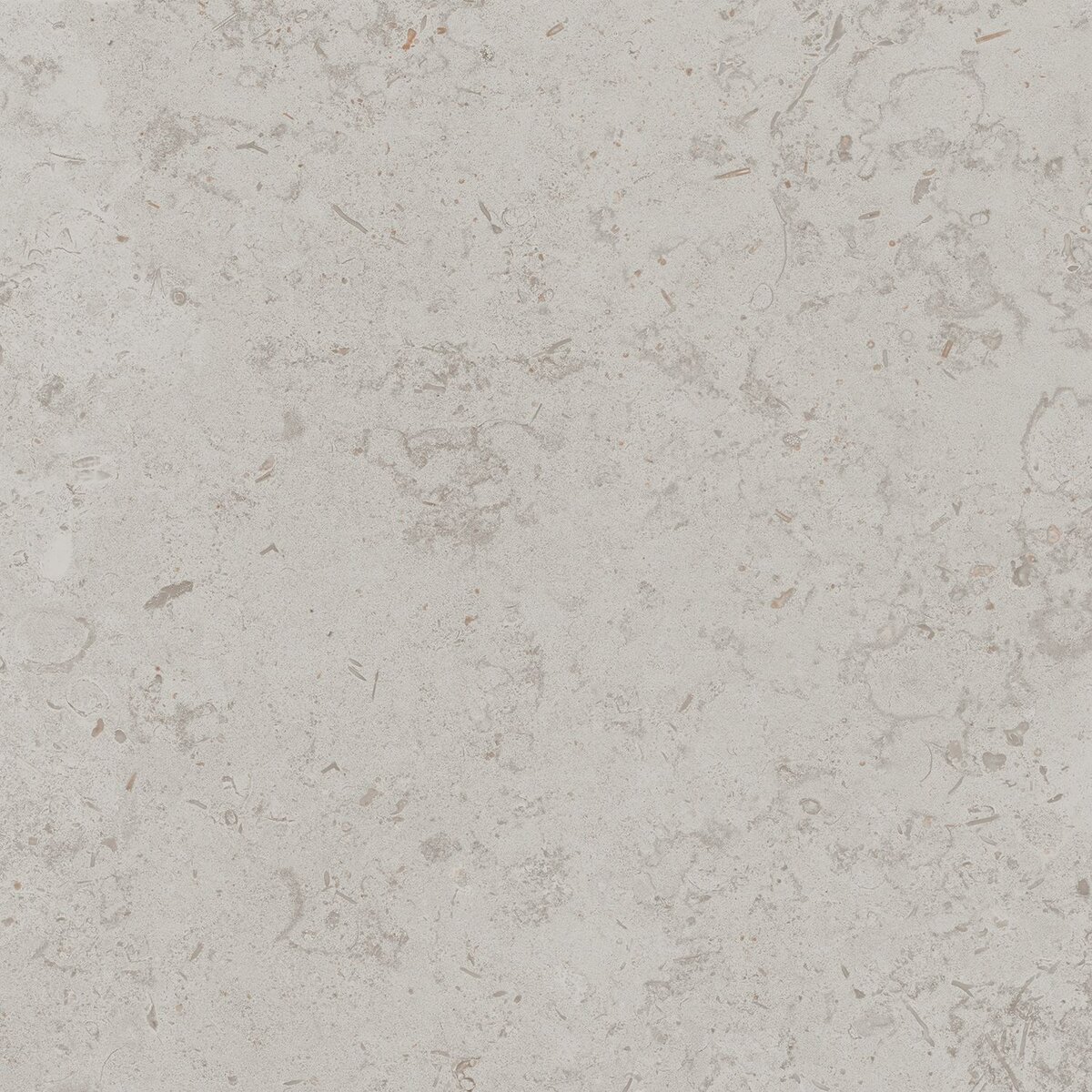 Изображение товара Керамогранит Kerama Marazzi Про Лаймстоун DD641000R 60x60 см матовый светло-серый для пола и стен