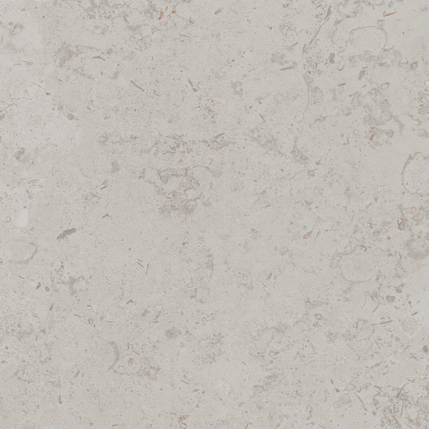Изображение товара Керамогранит Kerama Marazzi Про Лаймстоун 60x60 см светло-серый матовый Изображение товара Керамогранит Kerama Marazzi Про Лаймстоун 60x60 см светло-серый матовый
