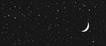 Декор Novogres Moonlight Decor Grow X9999049950, 30 х 70 см, черный - фото 1