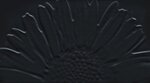 Декор Tubadzin Colour Black Sunflower X9999033832, 59.3 х 32.7 см, черный - фото 1