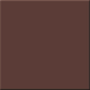 Изображение товара Керамогранит 60x60 см Estima Profi Rainbow RW04 шоколадный для пола
