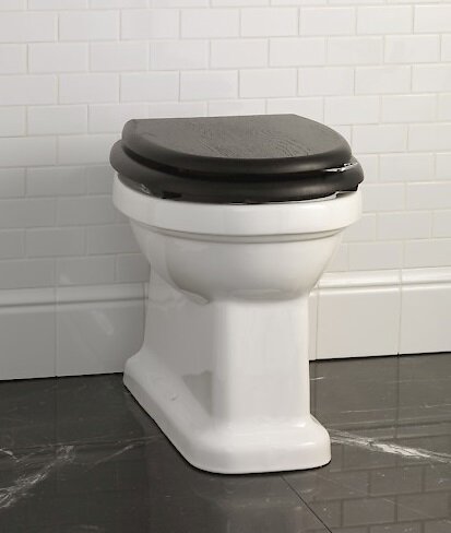 Изображение товара Приставной унитаз Devon&Devon BLUES белый с функцией биде