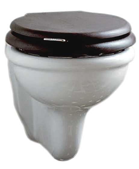 Изображение товара Подвесной унитаз Devon&Devon New Etoile IBWCSET белый, ретро дизайн, эффективный смыв