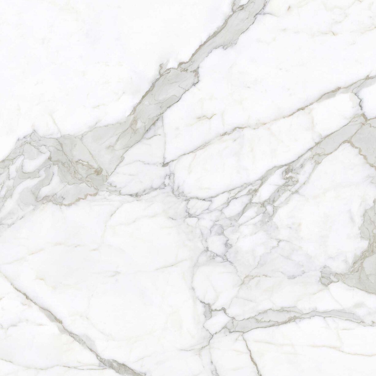 Изображение товара Керамогранит Zodiac Calacatta Bianco 160x160 см матовый для стен и пола