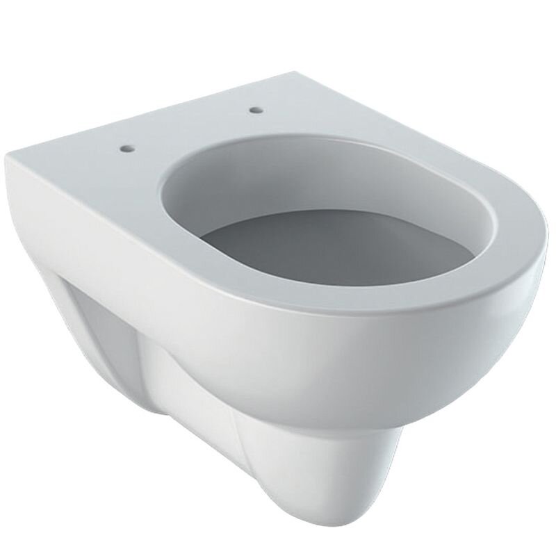 Изображение товара Подвесной унитаз Geberit Renova Nr.1 Comprimo New с функцией биде и сливом 4,5/6 л