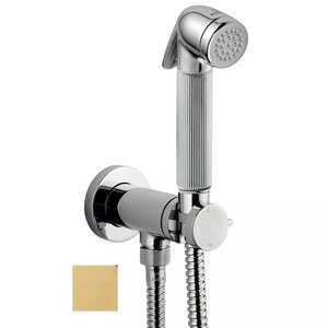 Изображение товара Гигиенический душ Bossini Nikita Mixer Set, со смесителем, сатиновое золото, E37008.043