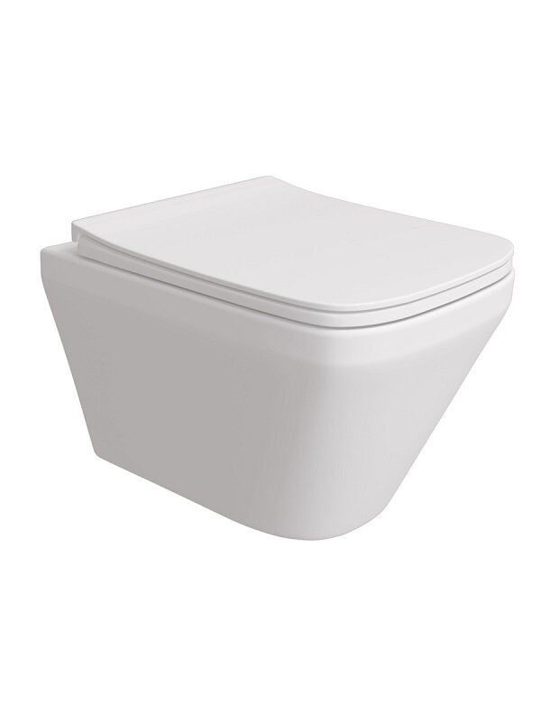 Изображение товара Подвесной унитаз Maretti Katrina KA10PBM20-844 безободковый с микролифтом