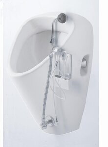 Румын моншасындағы секс