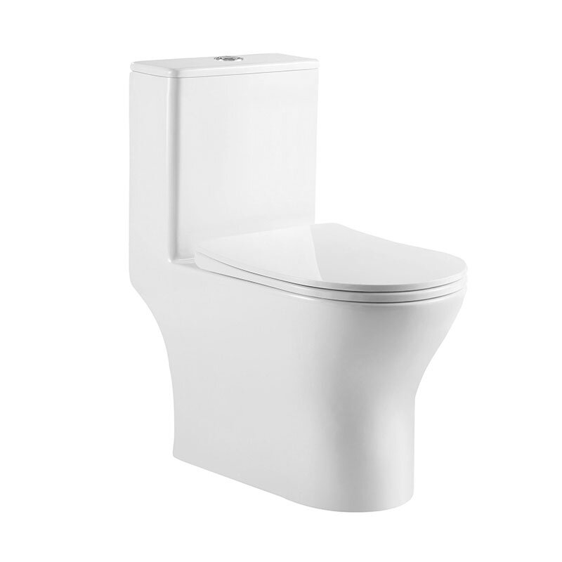 Изображение товара Унитаз моноблок BelBagno Lounge, безободковый, крышка-сиденье soft close, белый, BB8618CPR-MN/SC