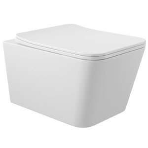 Изображение товара Подвесной безободковый унитаз Aqueduto Macio MAC0120 с сиденьем микролифт белый матовый