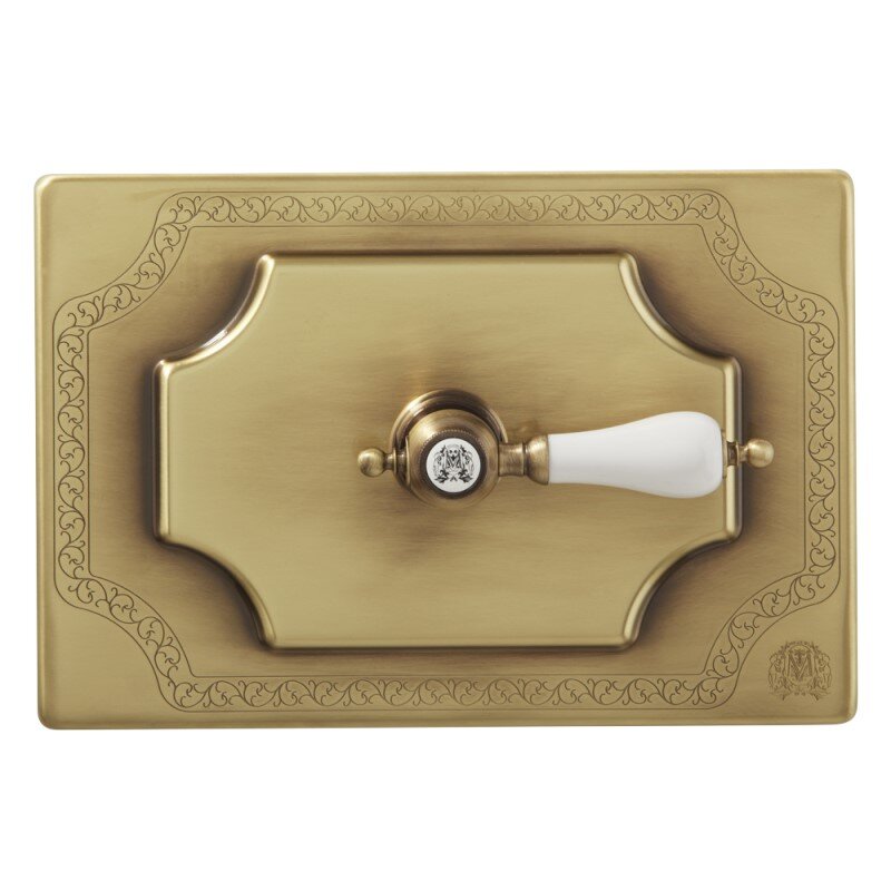 Изображение товара Декоративная панель смыва Migliore Ottone Classic Expert 20463 (ML.PLC-27.053.BR), бронза (без ручки)