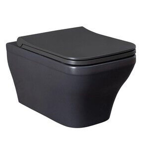 Изображение товара Подвесной унитаз Allen Brau Infinity 4.21011.AN, безободковый, цвет антрацит