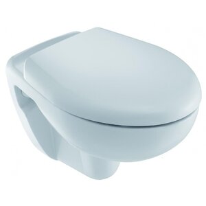 Изображение товара Подвесной унитаз Jacob Delafon Brive E4345G-00