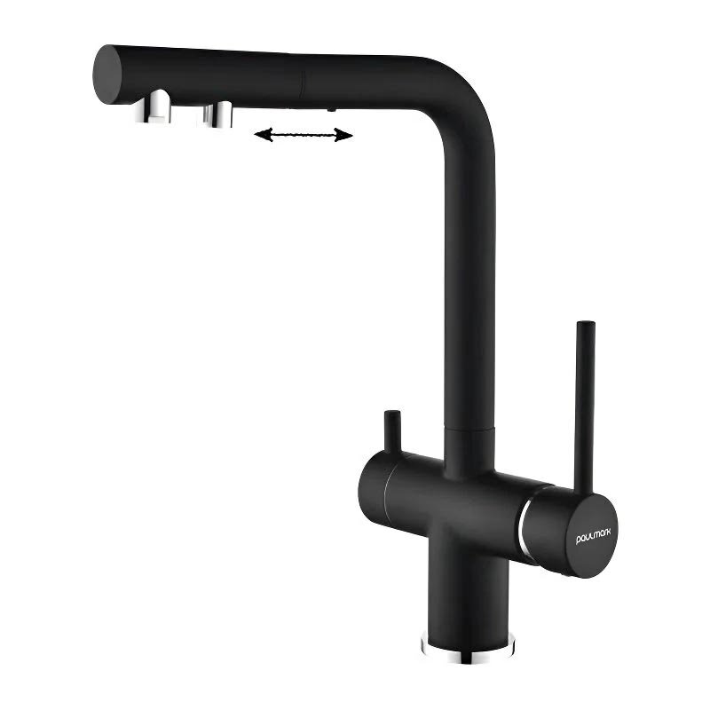 Изображение товара Смеситель Paulmark Serpentine Se213222-401 для кухни с фильтром