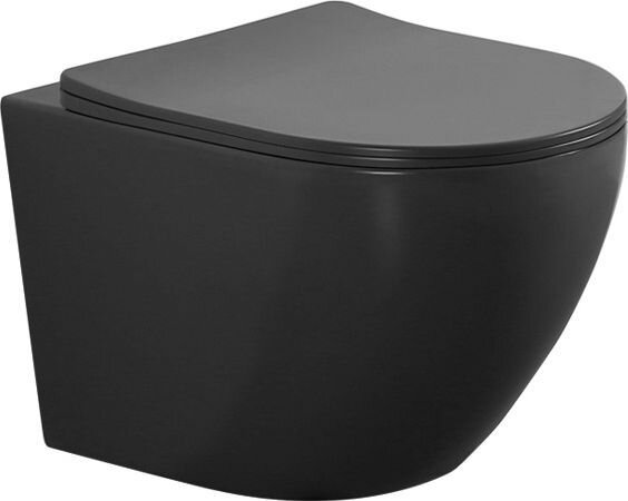 Изображение товара Подвесной безободковый унитаз Aquanet Cetus 2.0 W MB LX-1901С черный матовый