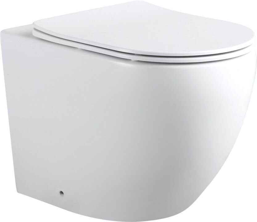 Изображение товара Приставной безободковый унитаз Aquanet Cetus 2.0 F с крышкой Soft Close