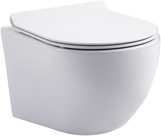 Изображение товара Подвесной безободковый унитаз Aquanet Tornado CETUS W Short T 332171 с крышкой микролифт