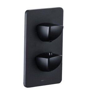 Изображение товара Смеситель Allen Brau Infinity 5.21316-31 для ванны и душа, термостатический, на 3 потребителя, цвет черный матовый