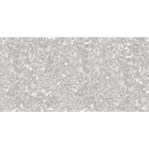 Изображение товара Керамогранит Delacora Turin Dark D12042M 60x120 см серый матовый с эффектом deep-ink