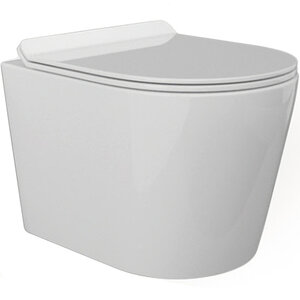 Изображение товара Подвесной безободковый унитаз BeWash Aldo BKWHR001480, крышка-сиденье с микролифтом, белый глянец