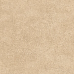 Изображение товара Керамогранит Alma Ceramica Berlin GFU04BLN80R 60x60 см песочный матовый