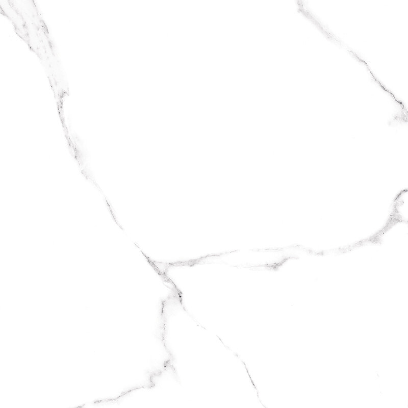 Изображение товара Керамогранит Alma Ceramica Carrara матовый 600-600 GFU04CRR00R Изображение товара Керамогранит Alma Ceramica Carrara матовый 600-600 GFU04CRR00R