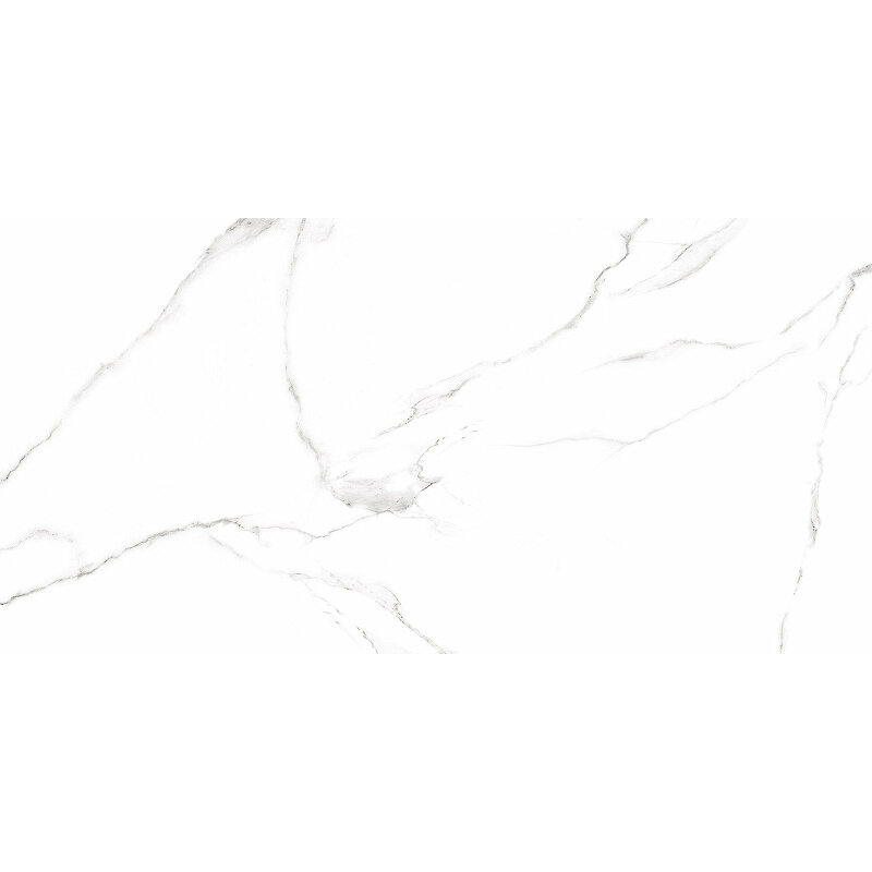 Изображение товара Керамогранит Alma Ceramica Carrara 60x120 см белый матовый